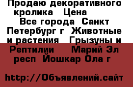 Продаю декоративного кролика › Цена ­ 500 - Все города, Санкт-Петербург г. Животные и растения » Грызуны и Рептилии   . Марий Эл респ.,Йошкар-Ола г.